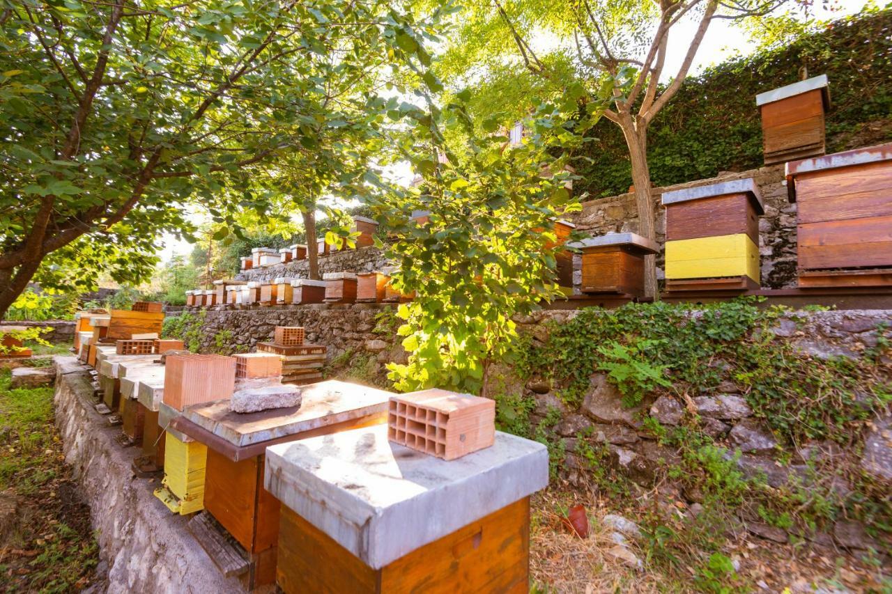 Honey Farm House Virpazar Extérieur photo