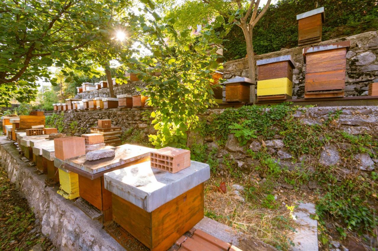Honey Farm House Virpazar Extérieur photo
