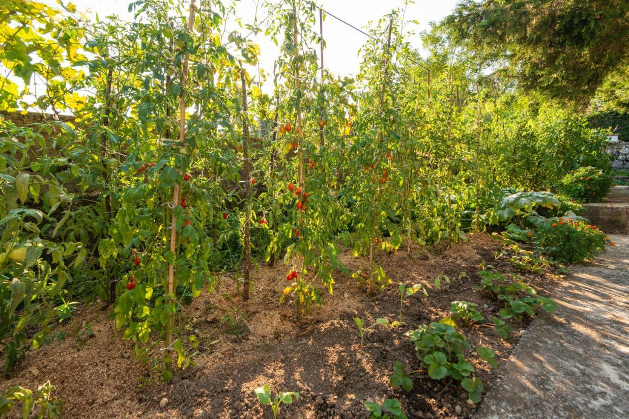Honey Farm House Virpazar Extérieur photo
